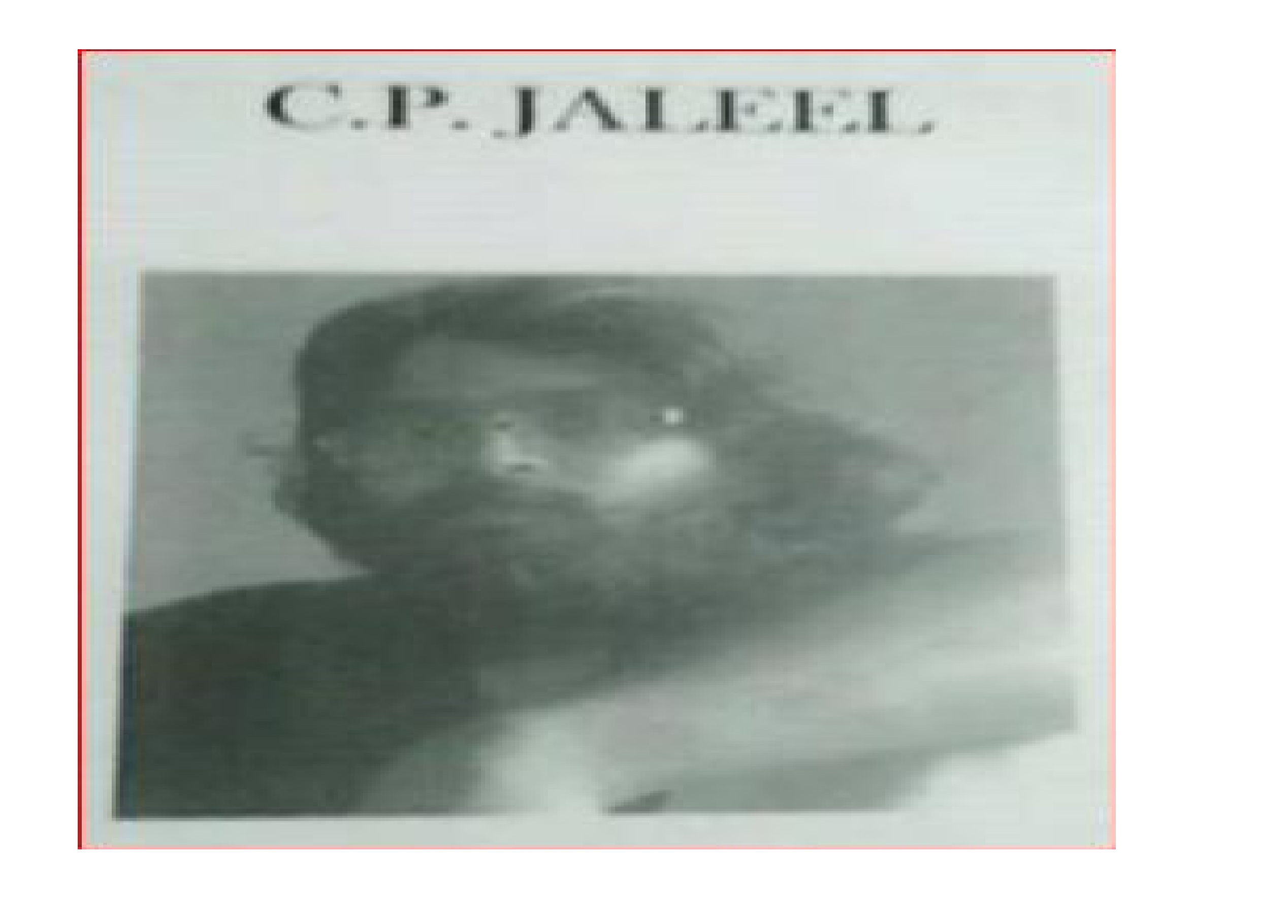 cp jaleel+1