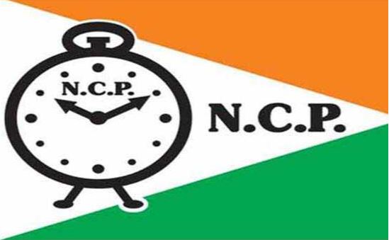 ncp gujarat