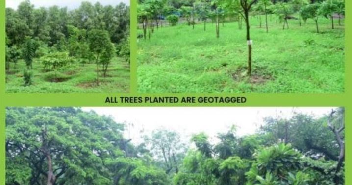 ‘આરે’ પર સુપ્રીમ કોર્ટમાં સુનાવણી પહેલા મુંબઈ મેટ્રોનો દાવો-  અમે વાવ્યા છે 24 હજાર વૃક્ષો