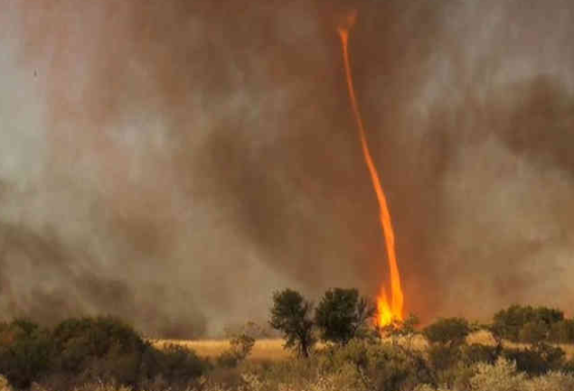 VIDEO: જુઓ ભયાનક આગનો ટોર્નાડો, અમેરિકાએ જારી કરવી પડી ચેતવણી