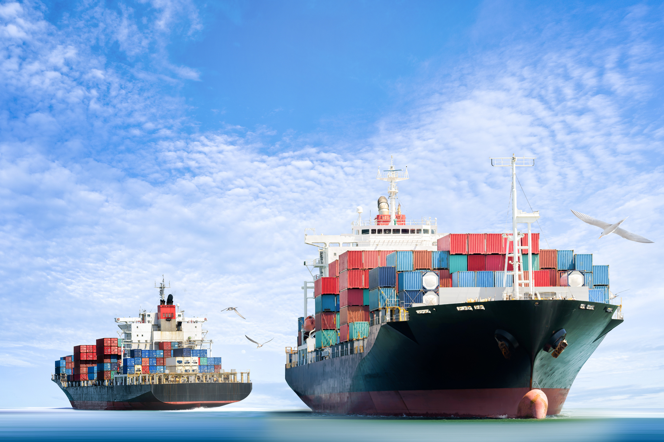 Container Cargo ship in the ocean with Birds flying