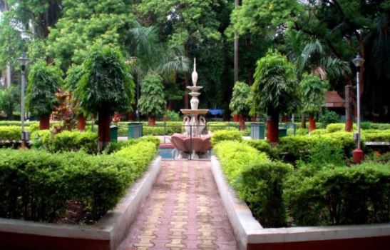 Ahmedabad garden 2