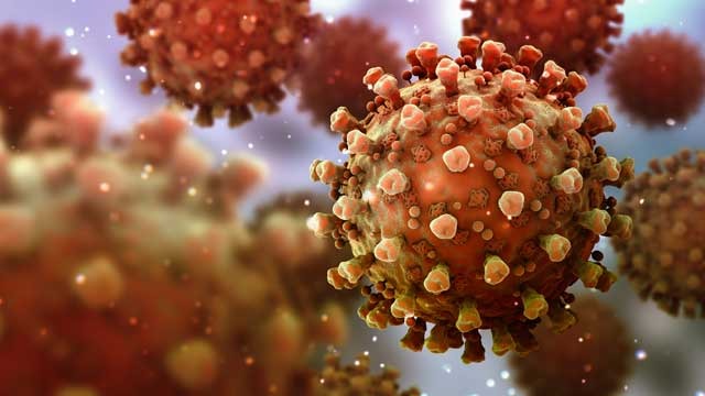 કેનેડા: સંશોધકોને કોરોના વાયરસને નષ્ટ કરતા નાનકડા એન્ટિબોડીઝ મળ્યા