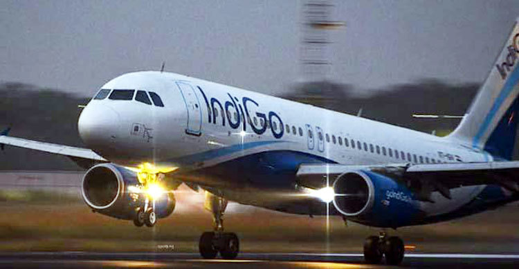 indigo-plane-b-20190930143207