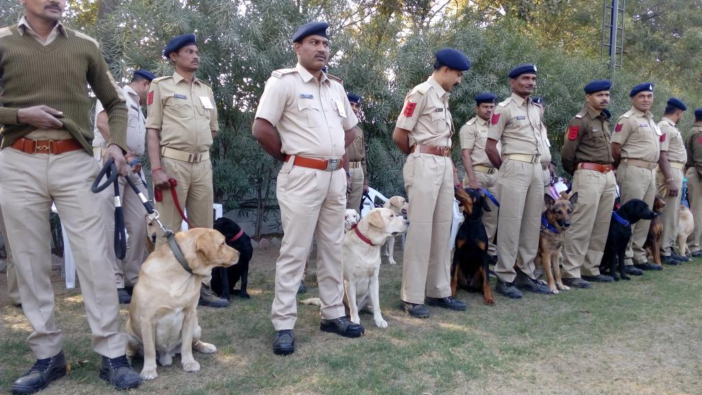 69 સ્નિફર્સ ડોગ્સ અને 49 ટ્રેકર્સ ડોગ્સ સહિત 574 પશુઓ પણ ગુજરાત પોલીસનો હિસ્સો