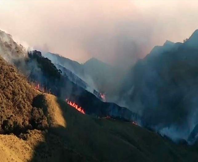 મણિપુરમાં નાગાલેન્ડ નજીક જંગલમાં લાગી ભિષણ આગ
