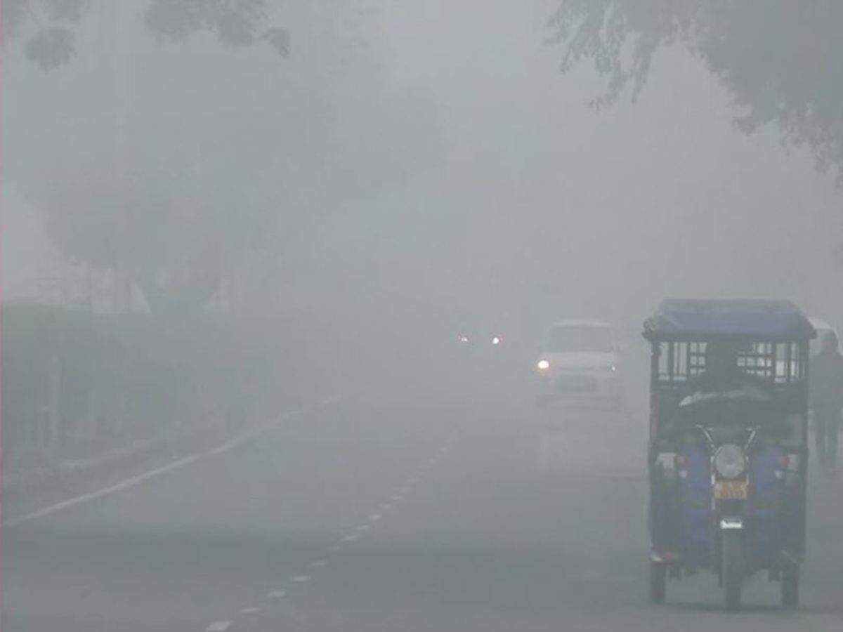 દિલ્હી એનસીઆર સહિત સમગ્ર ઉત્તર ભારતમાં કાતિલ ઠંડ – 14 ટ્રેનો ધુમ્મસને પગલે પ્રભાવિત