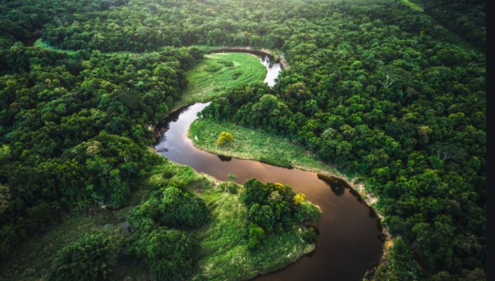 વિશ્વનું ફેફસું એવા એમેઝોનના જંગલો વર્ષ 2064 સુધીમાં થઇ શકે છે નામશેષ