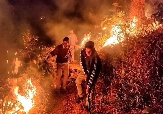 ઉત્તરાખંડ: વિકરાળ આગથી 63 હેક્ટર જંગલ ખાક: આગને કાબૂમાં લેવા માટે NDRFની ટીમ મોકલવામાં આવી