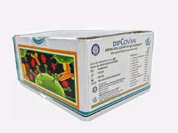 DRDOએ બનાવી DIPCOVAN, માત્ર 75 રૂપિયામાં જાણી શકશો તમારા શરીરમાં એન્ટિબોડી કેટલી છે