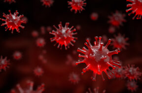 Coronavirus -nCov virus close up defocus red background virus cells influenza as dangerous asian pandemic virus close up 3d rendering