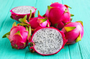 dragon-fruit-02-1024×683