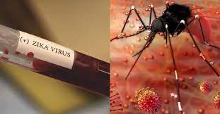 કેરળમાં ઝિકા વાયરસનું વધતું જોખમઃ  વધુ એક કેસ નોંધાતા ઝીકા વાયરસનો આંક 15 પર પહોંચ્યો