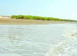 BHAVNAGAR SEA