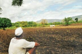 farmer