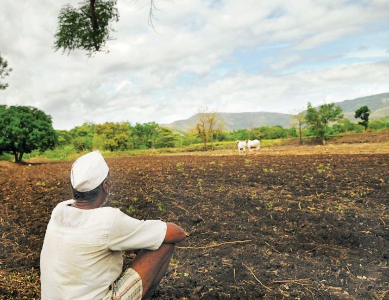ગુજરાતમાં 25 લાખથી વધુ હેક્ટરમાં વાવણી કાર્ય પૂર્ણ, વરસાદ ખેંચાતા ખેડૂતો બન્યાં ચિંતિત