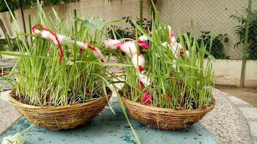 આજથી ચાતુર્માસના પ્રારંભ સાથે  વ્રતો, તહેવારોની મોસમ શરૂ થશેઃ  કાલથી જયા પાર્વતી વ્રતનો પ્રારંભ