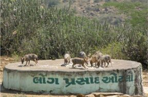 kachcha kalo dungar