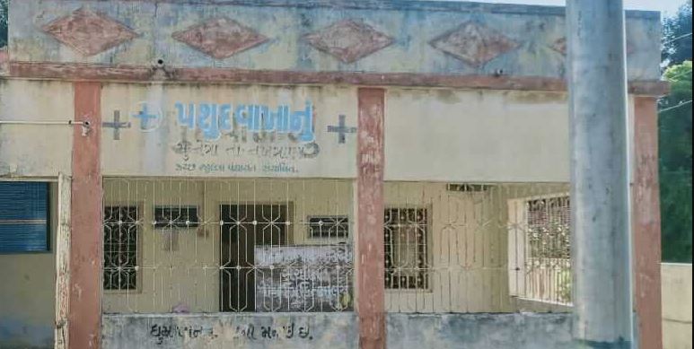કચ્છના અબડાસામાં પશુ ચિકિત્સકો જ ન હોવાથી પશુપાલકોને પડતી મુશ્કેલી