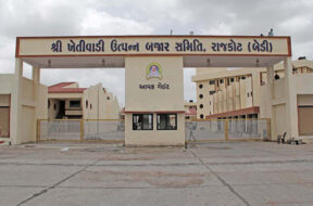 rajkot bedi yard