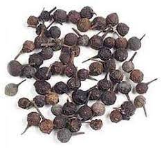 જાણો આ  ‘કબાબ ચીની’ નામની વસ્તુ વિશે – શું છે અને તેનું સેવન કઈ રીતે આપણાને કરે છે ફાયદો