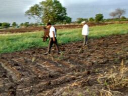 Banaskantha, no rain, farmers worried