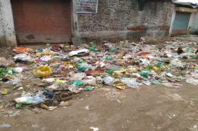 WhatsApp Image 2021-08-05 at 10.55.26 AM