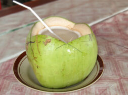 coconut-sandesh-copy