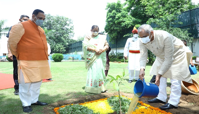 ગુજરાતઃ રાજભવન અને મુખ્યમંત્રી નિવાસસ્થાને ફળઝાડનું વાવેતર કરાયું