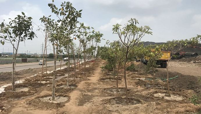 અમદાવાદના પીરાણાના ડમ્પિંગ સાઈટ પર 1000 વૃક્ષો વાવીને ઓક્સિજન પાર્ક બનાવાયો