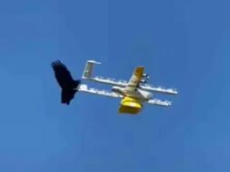 Drone raven