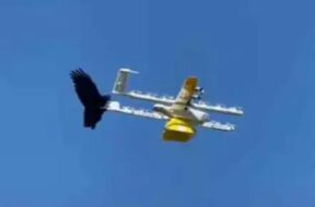 Drone raven