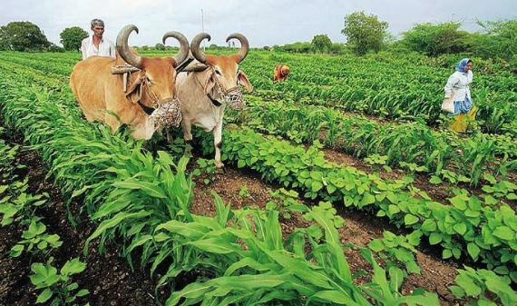 દેશના અન્ય રાજ્યોની સરખામણીએ ગુજરાતમાં ઓછા ખેડૂતોના માથે દેવુ