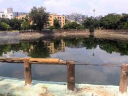 Garbage and dirt in the lakes of Ahmedabad