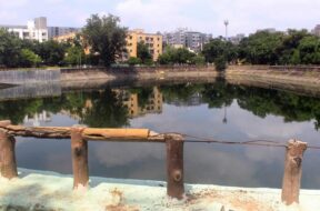 Garbage and dirt in the lakes of Ahmedabad