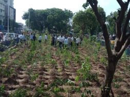Tree planting by Muni Corporation in Ahmedabad-1
