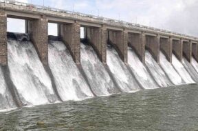 bhadar dam overflow-1