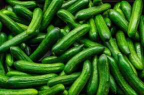 cucumbers-revoinews