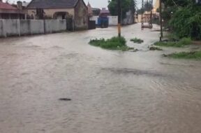 jamnagar rain