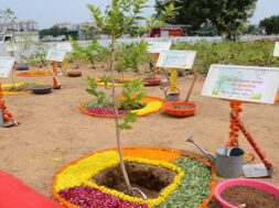 plantation in ahmedabad-1