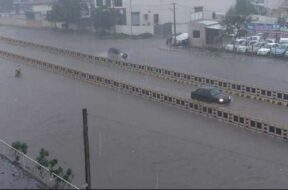 rain