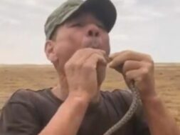 snake