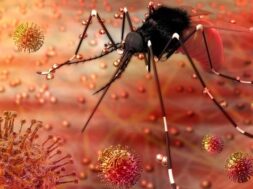 57112rhg_zika-virus_625x300_09_October_18