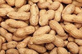 Peanuts,-1