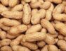 Peanuts,-1