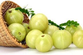 amla-gooseberries