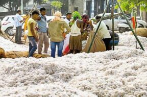 babra market yard-1