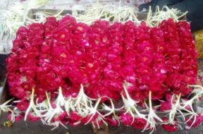 flower market ahmedabad-1