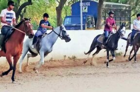 horse riding-1