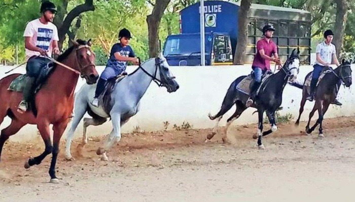 ઘોડે ચડવાનો શોખ હવે પુરો થશે, GTU ઘોડેસવારીના કોર્ષ શરૂ કરશે